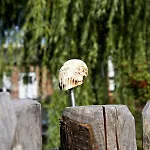 Fischerhus Lütt Hauke 69 Qm Traudel Lejlighed Altwarp