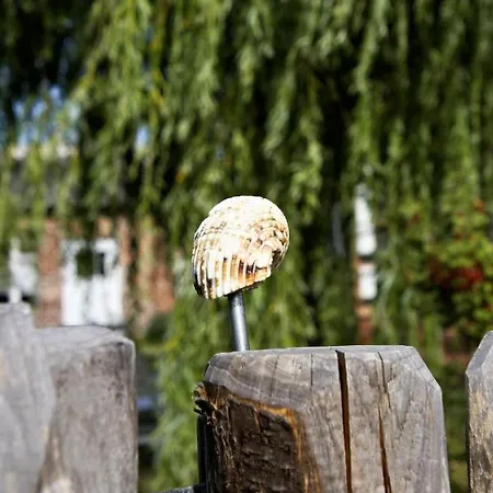 Fischerhus Luett Hauke 69 Qm Traudel Apartman Altwarp