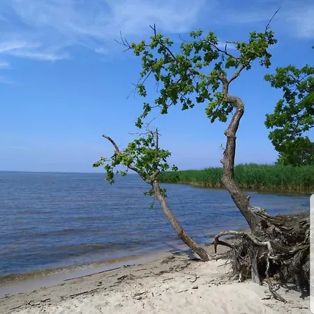 Apartman Fischerhus Luett Hauke 69 Qm Traudel *