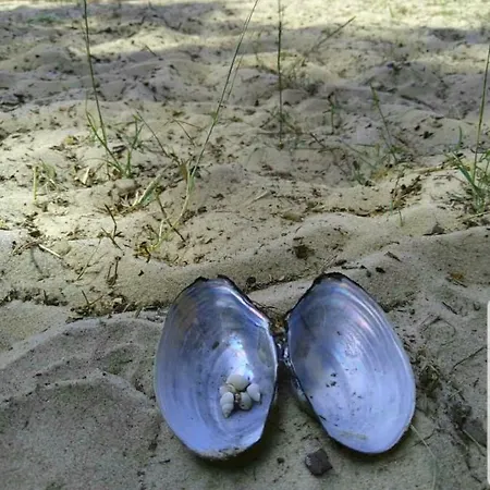 Fischerhus Lütt Hauke 69 Qm Traudel Lejlighed Altwarp