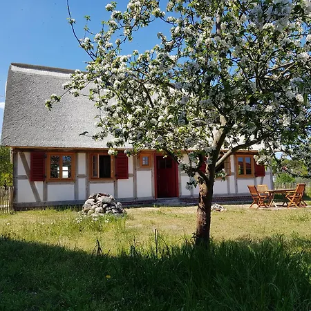 Apartment Fischerhus Luett Hauke 69 Qm Traudel