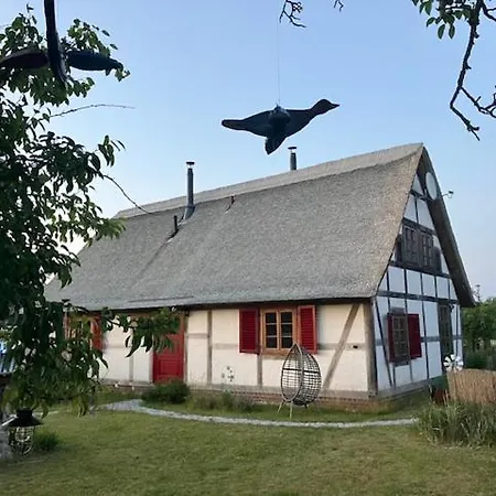 Fischerhus Lütt Hauke 69 Qm Traudel Lejlighed